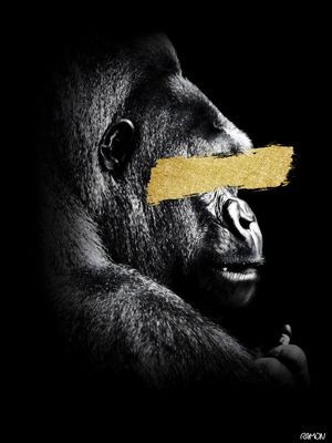 GOLDEN GORILLA 02