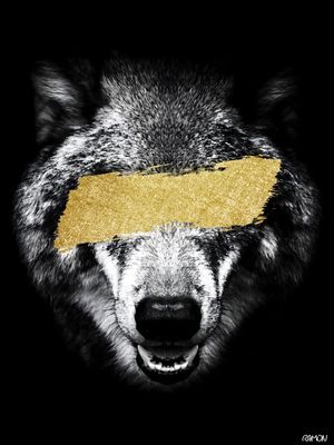 GOLDEN WOLF 01