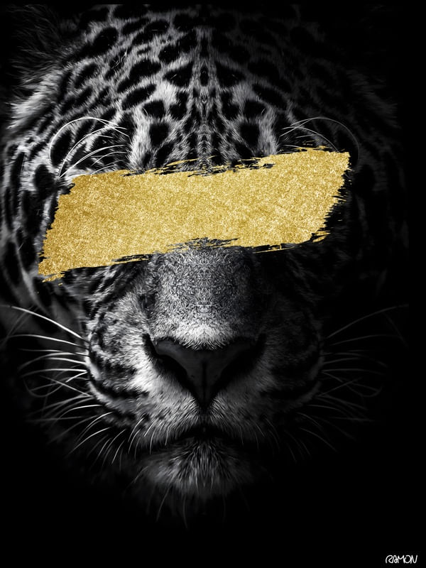 GOLDEN PANTER