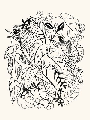 PATI CASCINO - TROPICAL BLACK