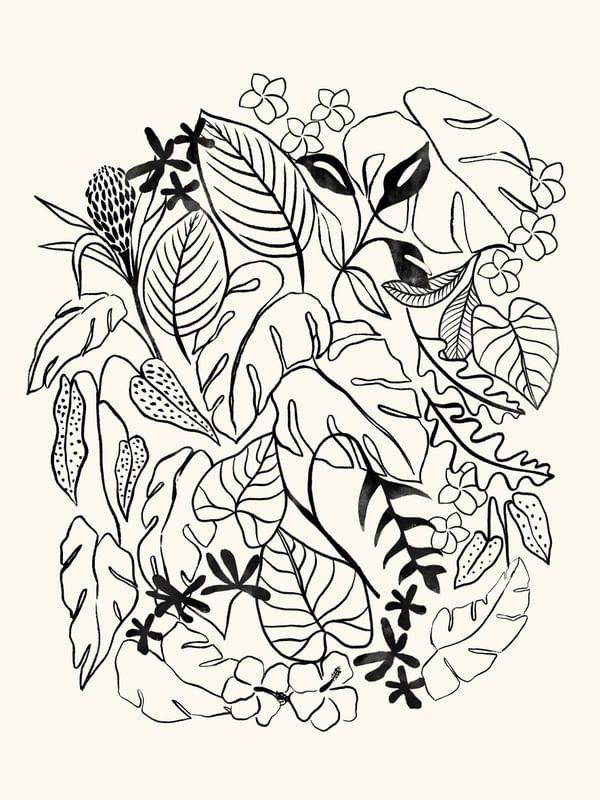 PATI CASCINO - TROPICAL BLACK