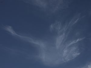 O CÉU DANÇANTE 01