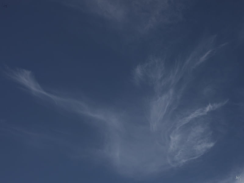 O CÉU DANÇANTE 01