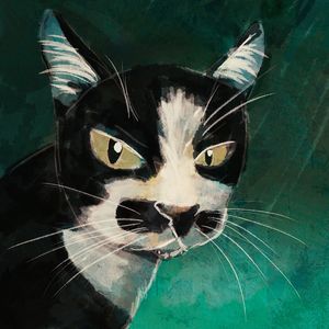 GATO CÍNICO