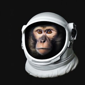 SPACE CHIMP - CHIMPASCIAL