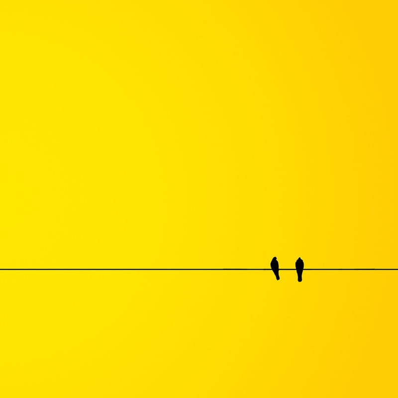PASSAROS MINIMAL