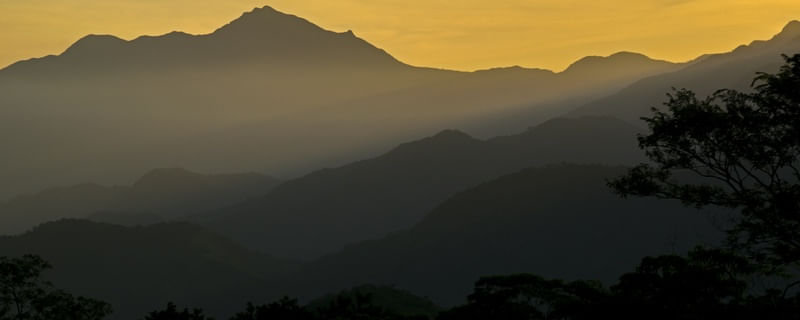 SERRA DE PETRÓPOLIS - RIO DE JANEIRO - BRASIL