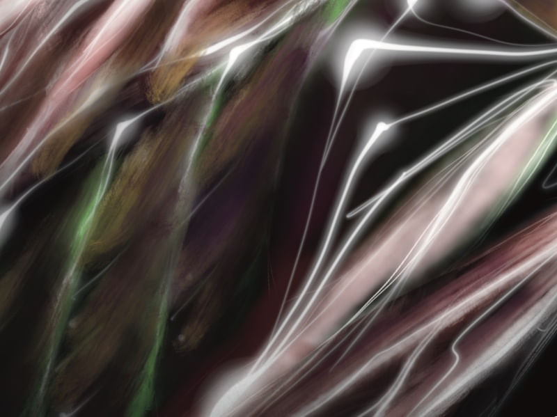 SPECTRUM 02