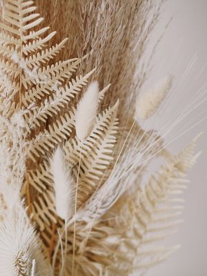 PALHA 01
