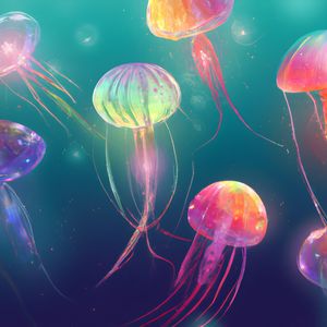 JELLYFISH 6