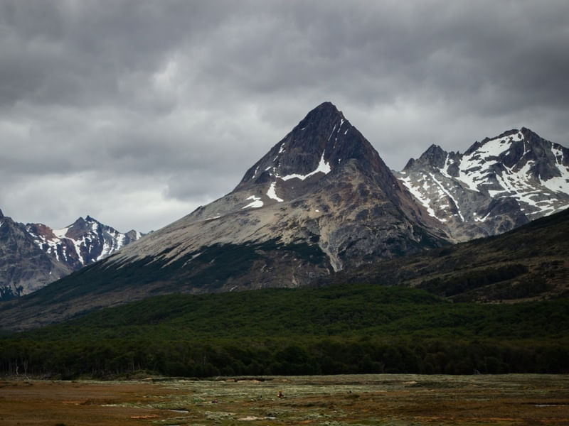 CERRO BONETE L