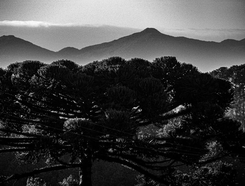 O PARANÁ E SUA NATUREZA