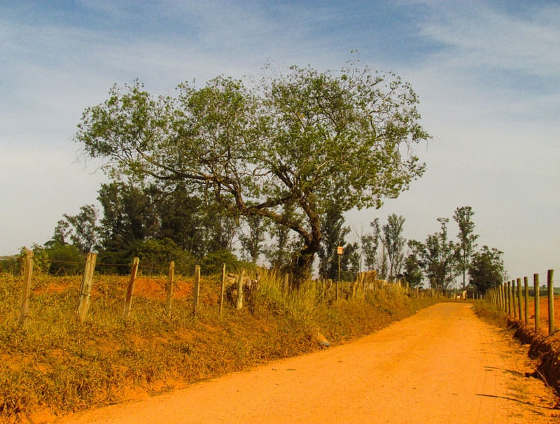 CAMINHOS ÁRIDOS DO INTERIOR