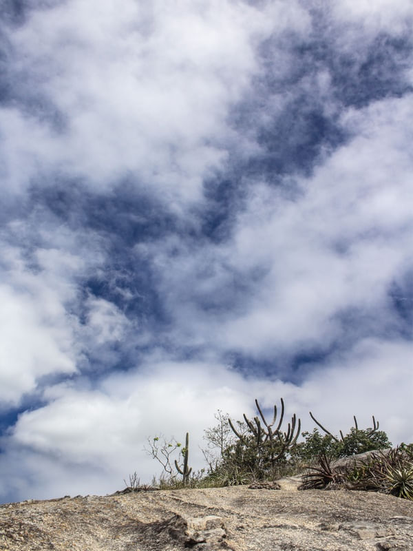 LÁ EM CIMA DO MONTE