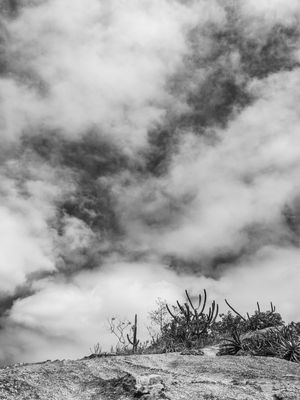LÁ EM CIMA DO MONTE PB