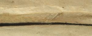 TERRAMAR I