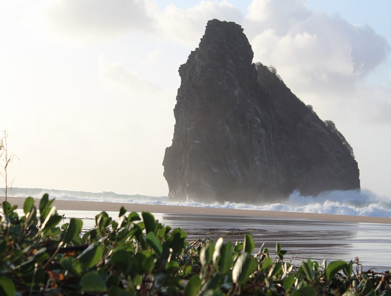 MINHA NORONHA