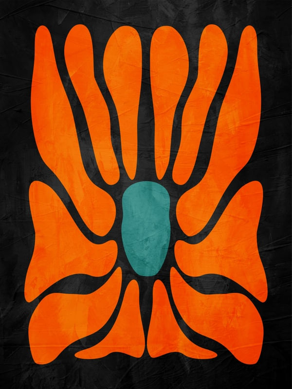 ARTE COLORIDA LARANJA PRETO - ABSTRATO ORGÂNICO - 289A