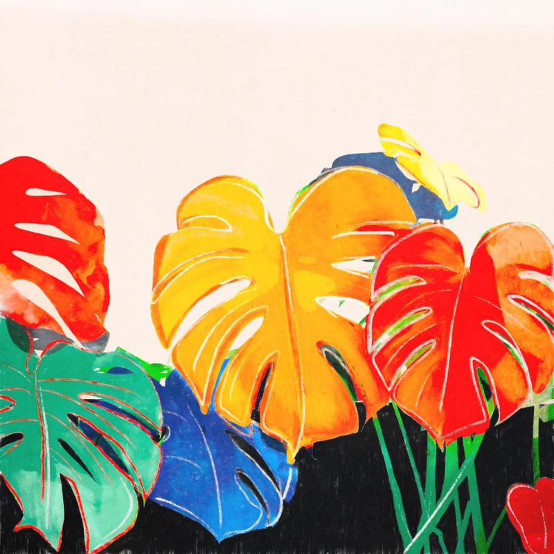 MONSTERA LEAVES 5