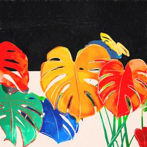 MONSTERA LEAVES 6