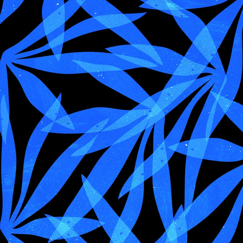 LEAF ART 13