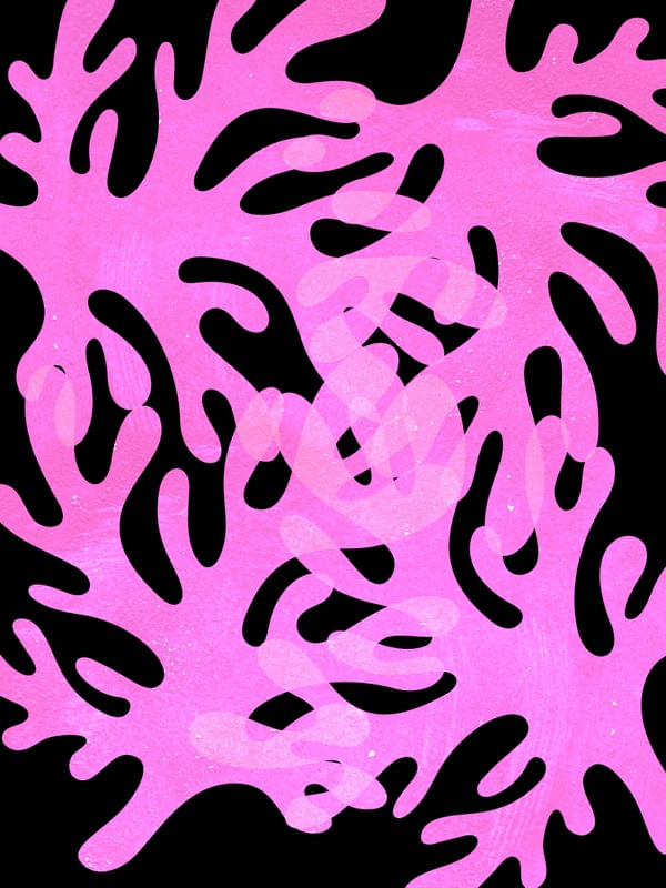 LEAF ART 21
