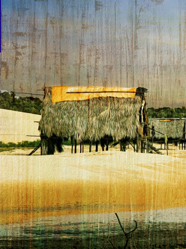 A VIDA NO DELTA TRIPTICO 1