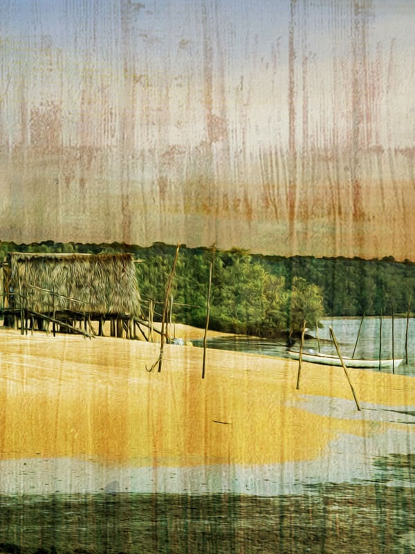 A VIDA NO DELTA TRIPTICO 2