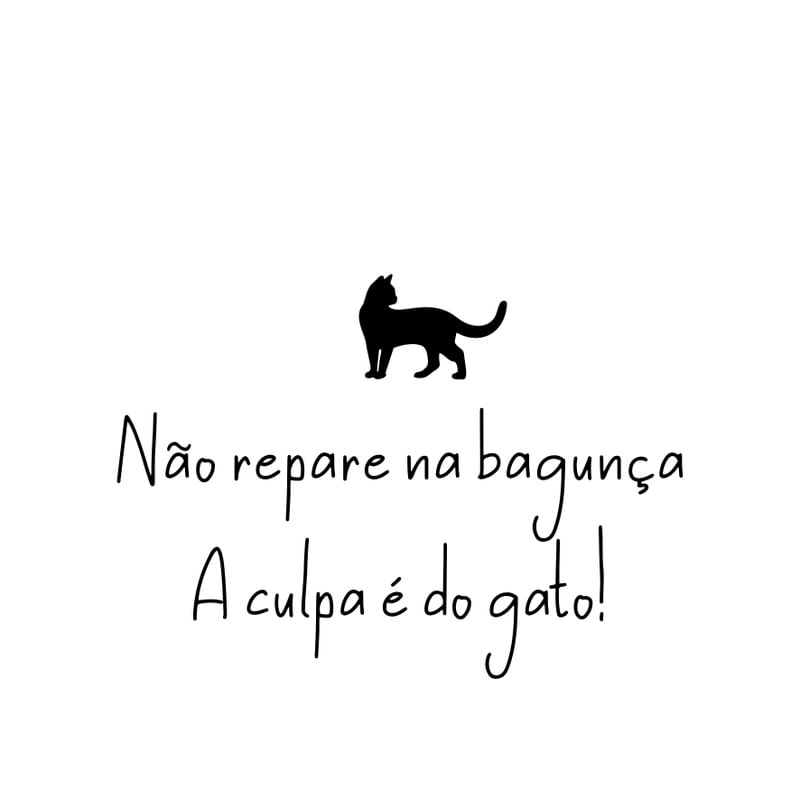 GATO POR GUILHERME CASTRO