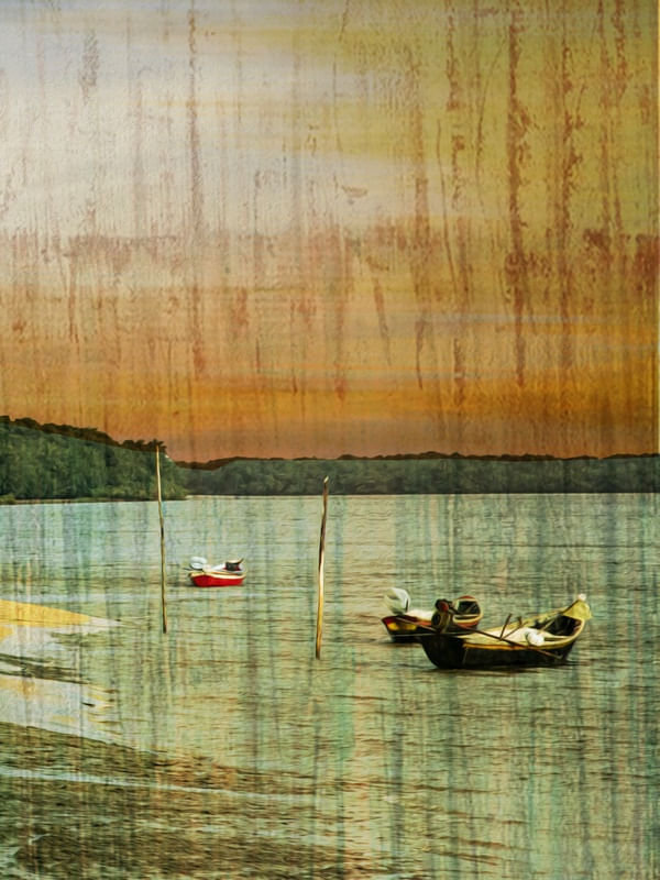 A VIDA NO DELTA TRIPTICO 3