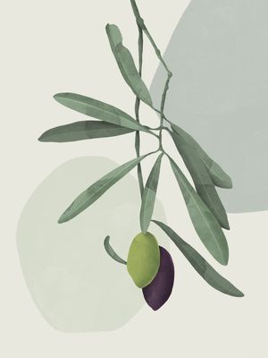 OLIVE