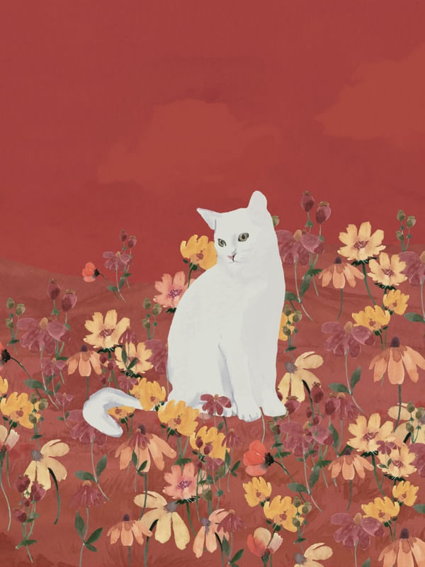 CAT IN A FIELD OF FLOWERS 2