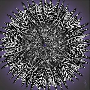 MNDLA 826