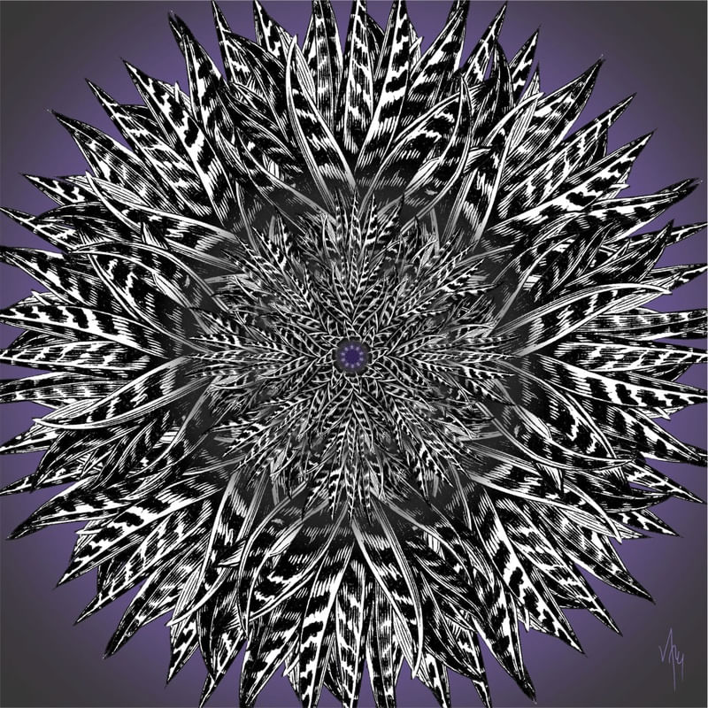 MNDLA 826