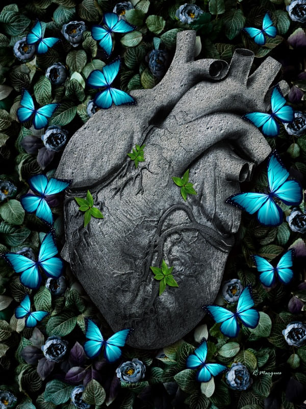 HEART OF STONE
