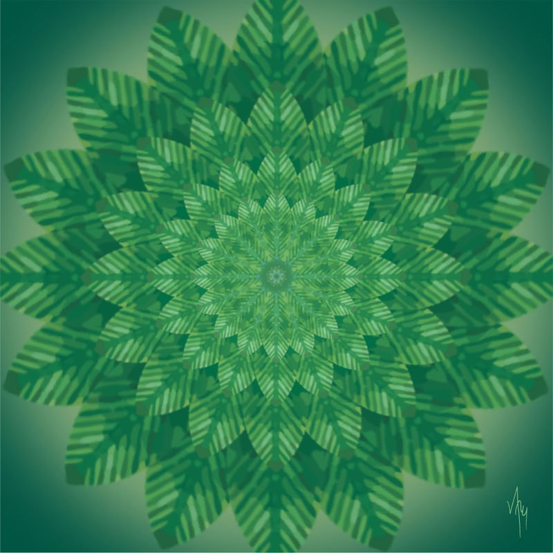 MNDLA 857