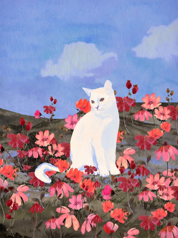CAT IN A FIELD OF FLOWERS 18