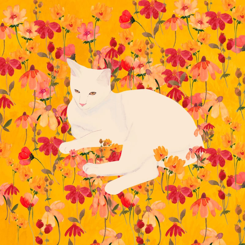 CAT IN A FIELD OF FLOWERS 19