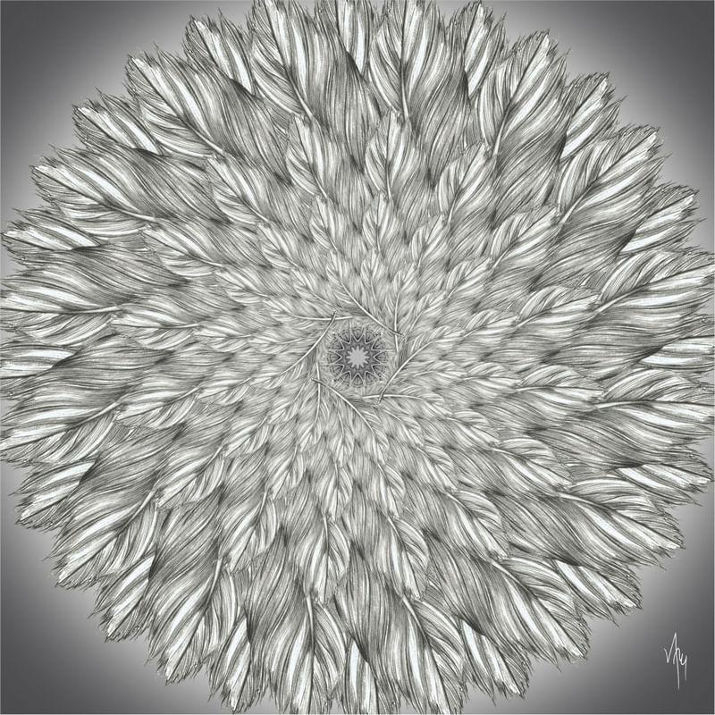 MNDLA 1128