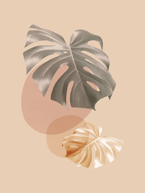 MINIMAL FLORAL 86