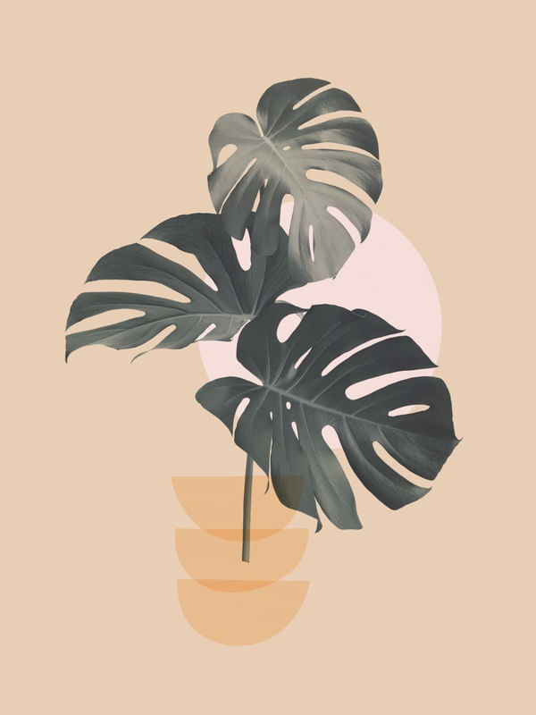 MINIMAL FLORAL 88