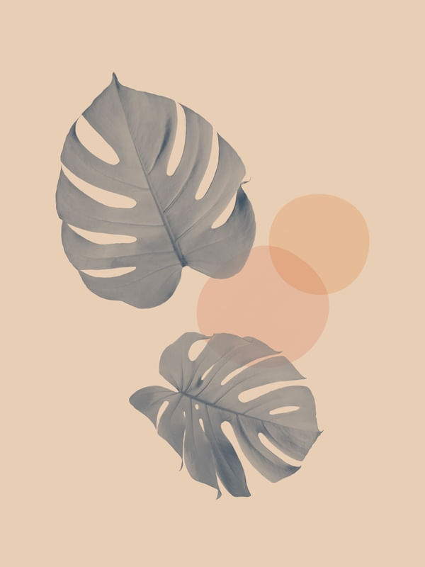 MINIMAL FLORAL 92