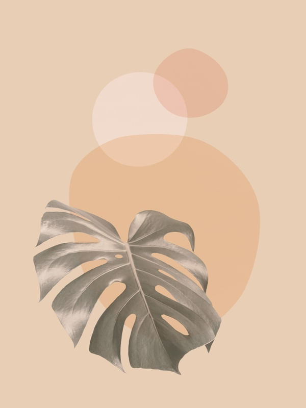MINIMAL FLORAL 93