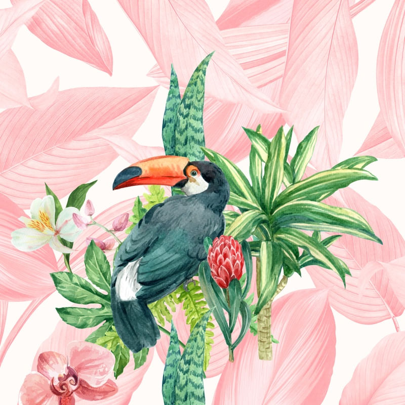 TROPICALISMO URBANO