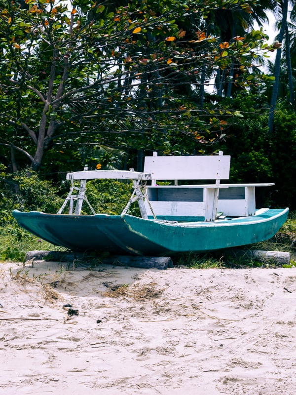 BARCO VERDE