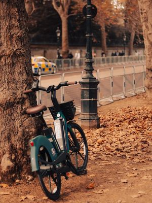 BICICLETA SOLITÁRIA