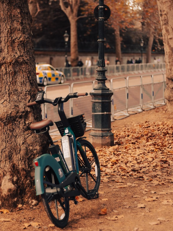 BICICLETA SOLITÁRIA