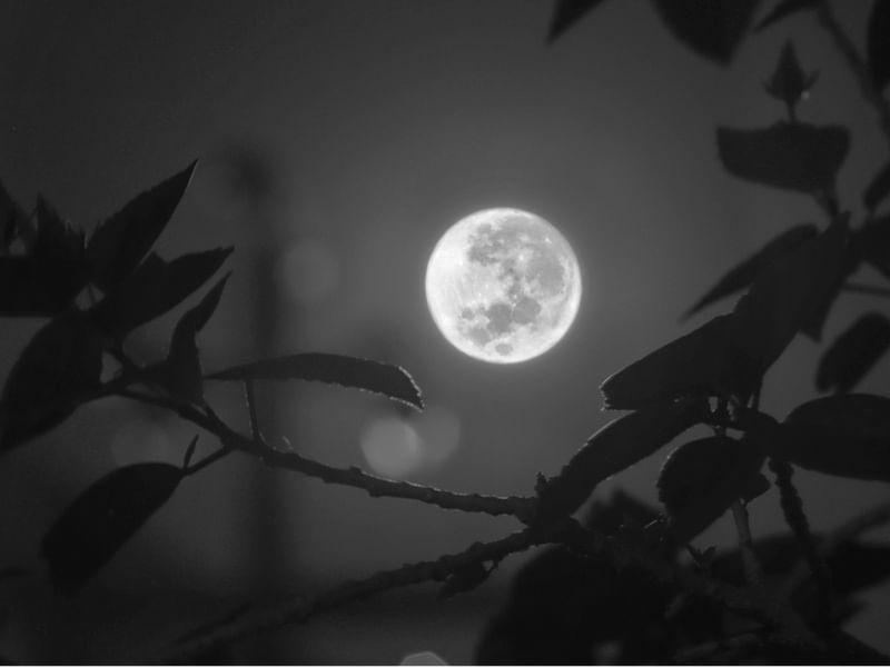 LUA CHEIA EM SEGUNDO PLANO