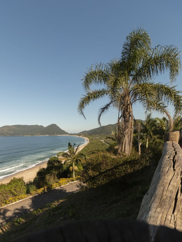 MORRO DAS PEDRAS - SC