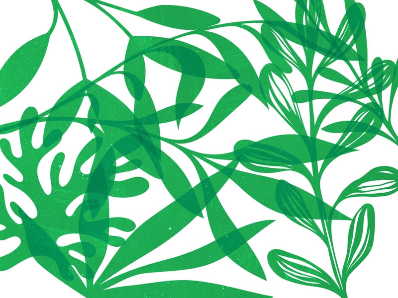 LEAF ART 42